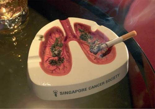 싱가포르 암협회에서 사용하는 재떨이.jpg