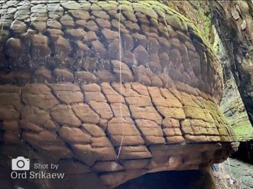 태국에 있는 뱀 모양 바위.jpg