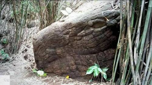 태국에 있는 뱀 모양 바위.jpg