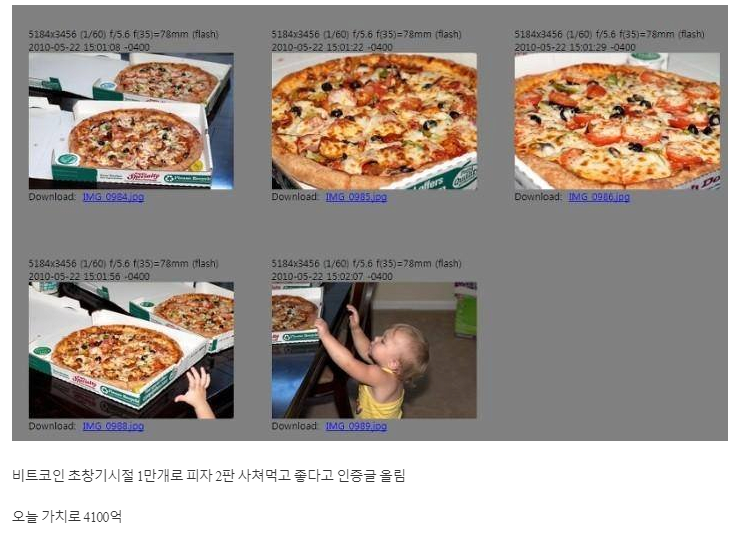 비트코인 1만개로 피자 두판 사먹은 사람 근황.jpg