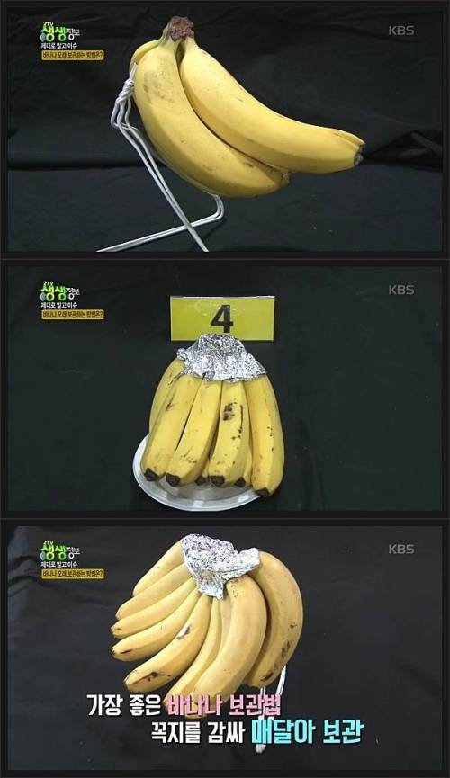 바나나 보관방법에 따른 변화비교.jpg