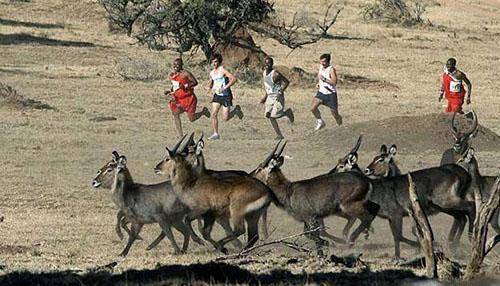 케냐에서 열린 친환경 마리톤 대회.jpg