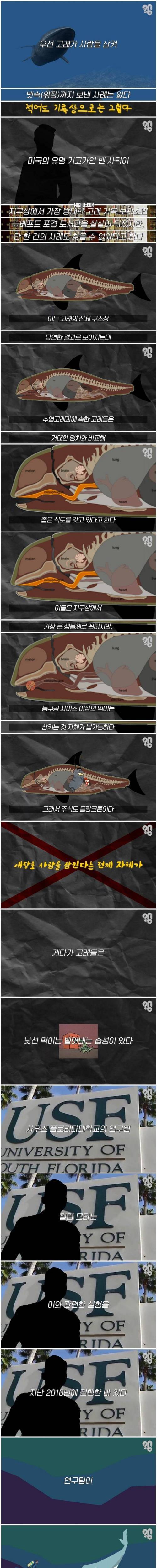[스압] 고래 배 속에서 살 수 있을까?.jpg