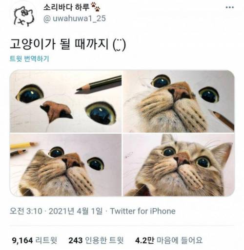 색연필로 고양이 그리는 법.jpg