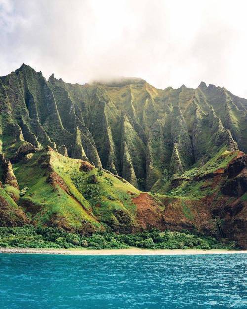 하와이의 녹색 풍경들.jpg