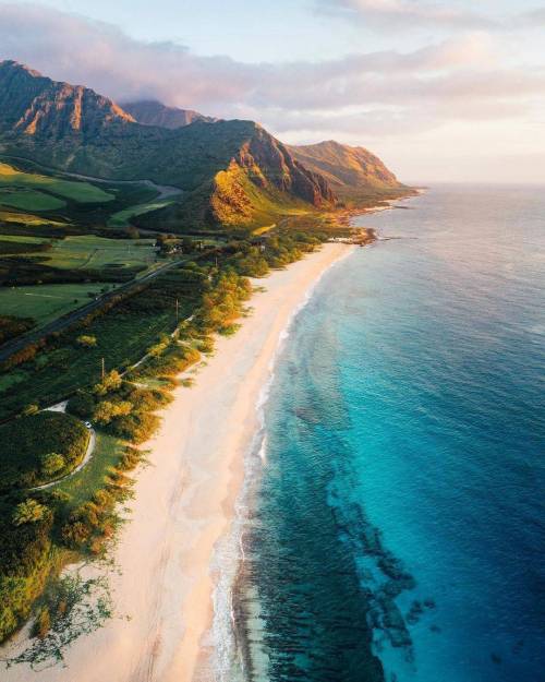 하와이의 녹색 풍경들.jpg