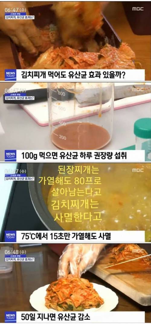 김치찌개 먹어도 유산균 효과 있을까?