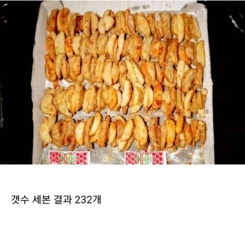 일본 도미노에서 파는 25,000원짜리 감자튀김
