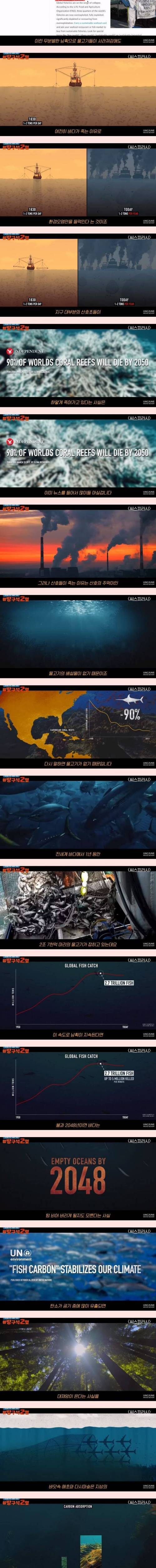 [스압] 환경단체들이 숨기는 바다오염의 진실