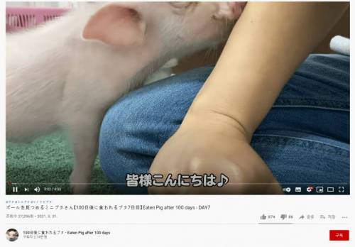 어느 일본 유튜브 채널.jpg