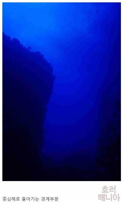 [스압] 바다 깊이에 따른 심해생물들