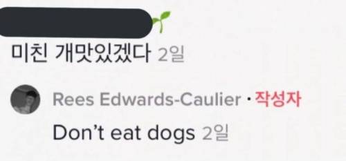 외국인들이 한국인은 개를 많이 먹는다고 믿는 이유.jpg