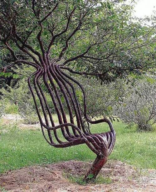 10년짜리 나무의자.jpg
