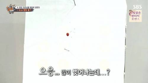 [스압] 양궁 국가대표팀 방울토마토 관통하기 미션.jpg