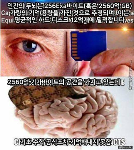 인간 뇌의 용량.jpg
