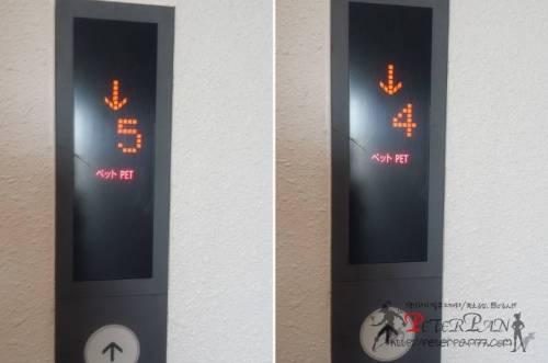 일본 엘레베이터에만 있는 신기한 버튼