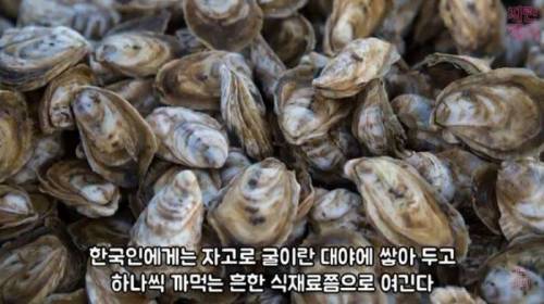의외로 한국에서만 풍족하게 먹는 비싼음식