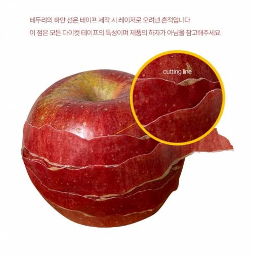 진짜 사과껍질, 키위껍질같은 마스킹 테이프.jpg