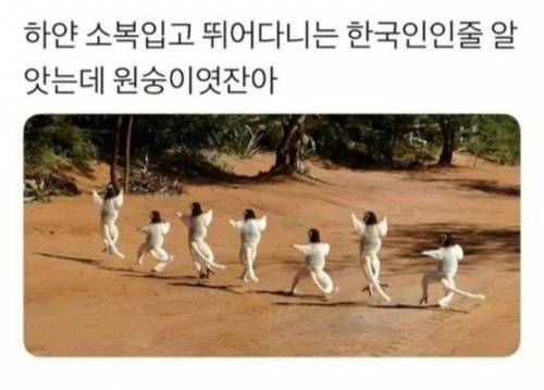 하얀 소복입고 뛰어다니는 한국인