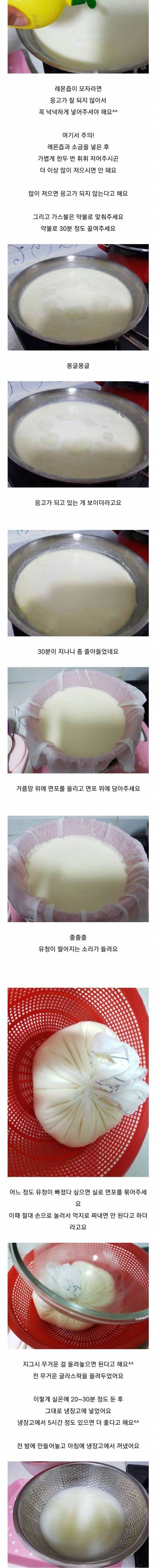 모유로 치즈만든 블로거.jpg