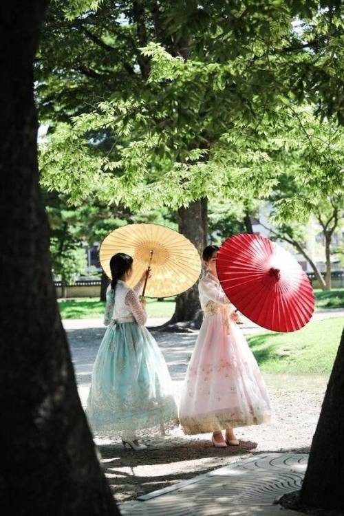 한국의 전통 우산 지우산
