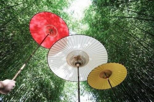 한국의 전통 우산 지우산