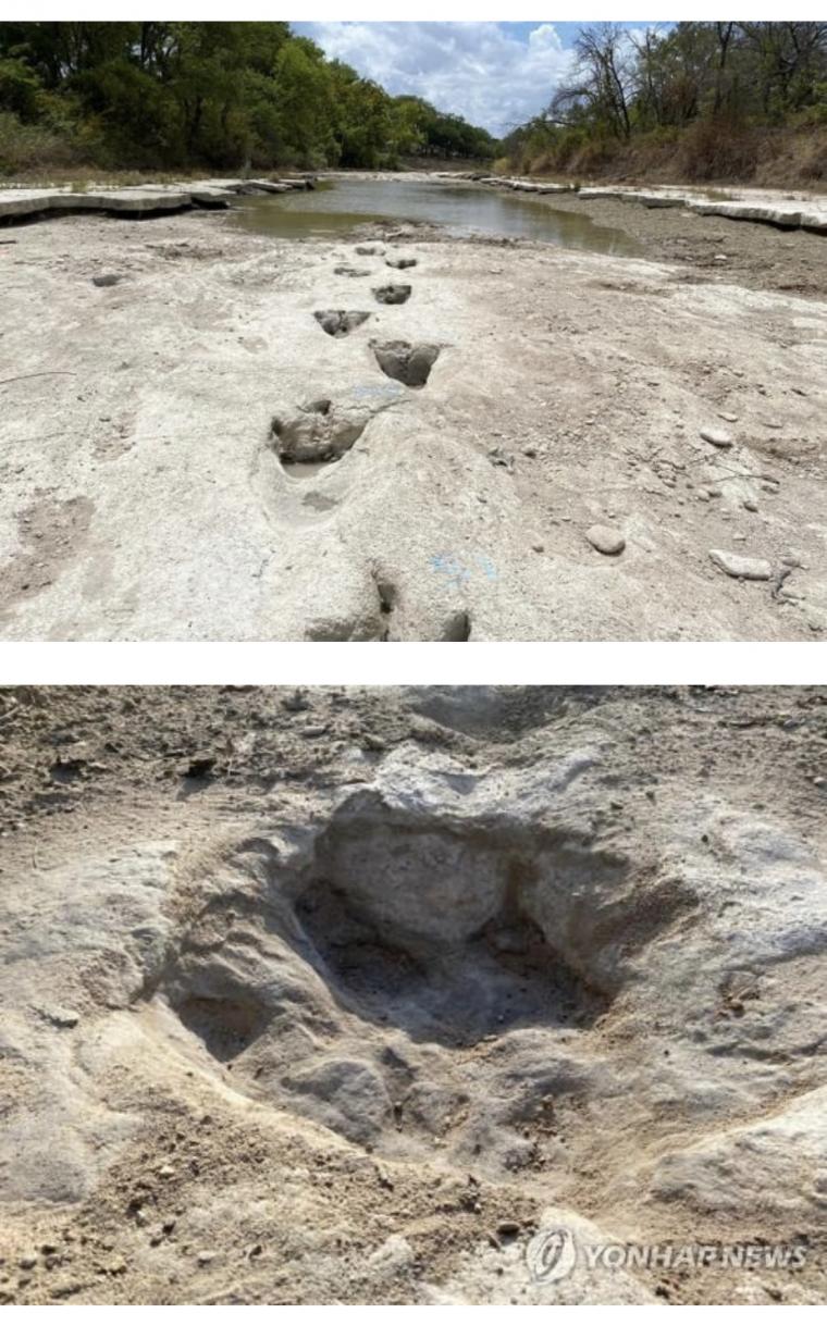 가뭄에 美텍사스 계곡 바닥 드러내자 공룡 발자국 발견