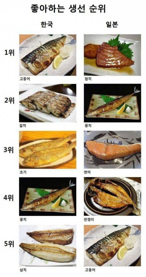 재미로 보는 한국 일본 생선취향