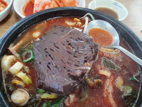한국인도 메불메 갈리는 국밥들