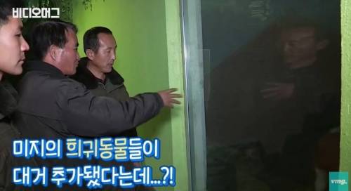 북한 동물원 수준.jpg