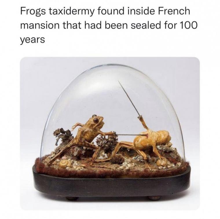 100년전 만든 개구리 박제품.jpg