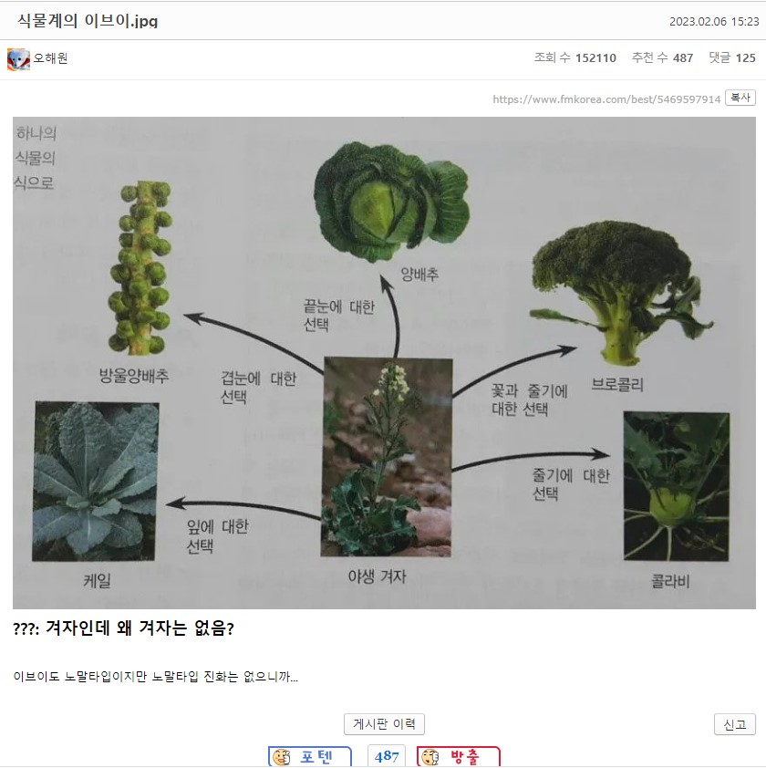 식물계의 이브이.jpg