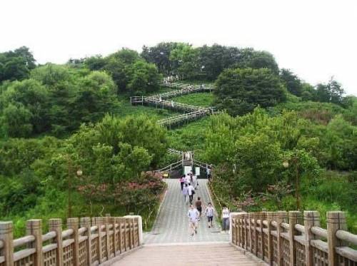 최근 서울에 온 사람들은 모른다는 서울 난지도 공원 예전 모습