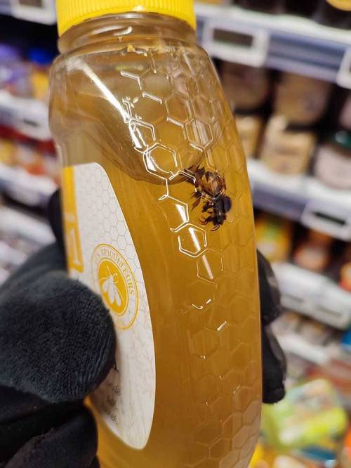 믿을 수 있는 자연산 꿀