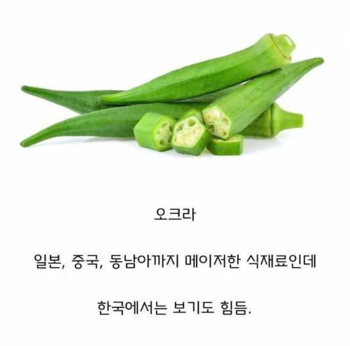 동아시아 국가중 한국에서만 안 먹는 채소