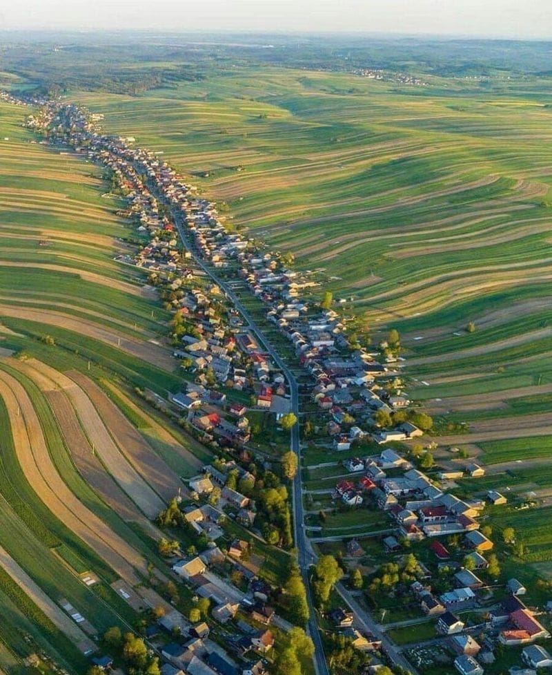 도로 하나 근처에 6천명이 거주하는 폴란드 마을