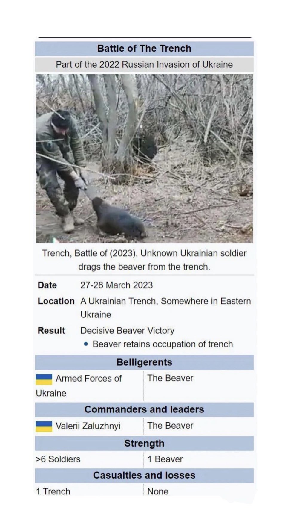 [스압] 우크라이나군 비버한테 참호 뺏겻네