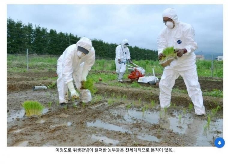 후쿠시마 쌀이 안전한 이유