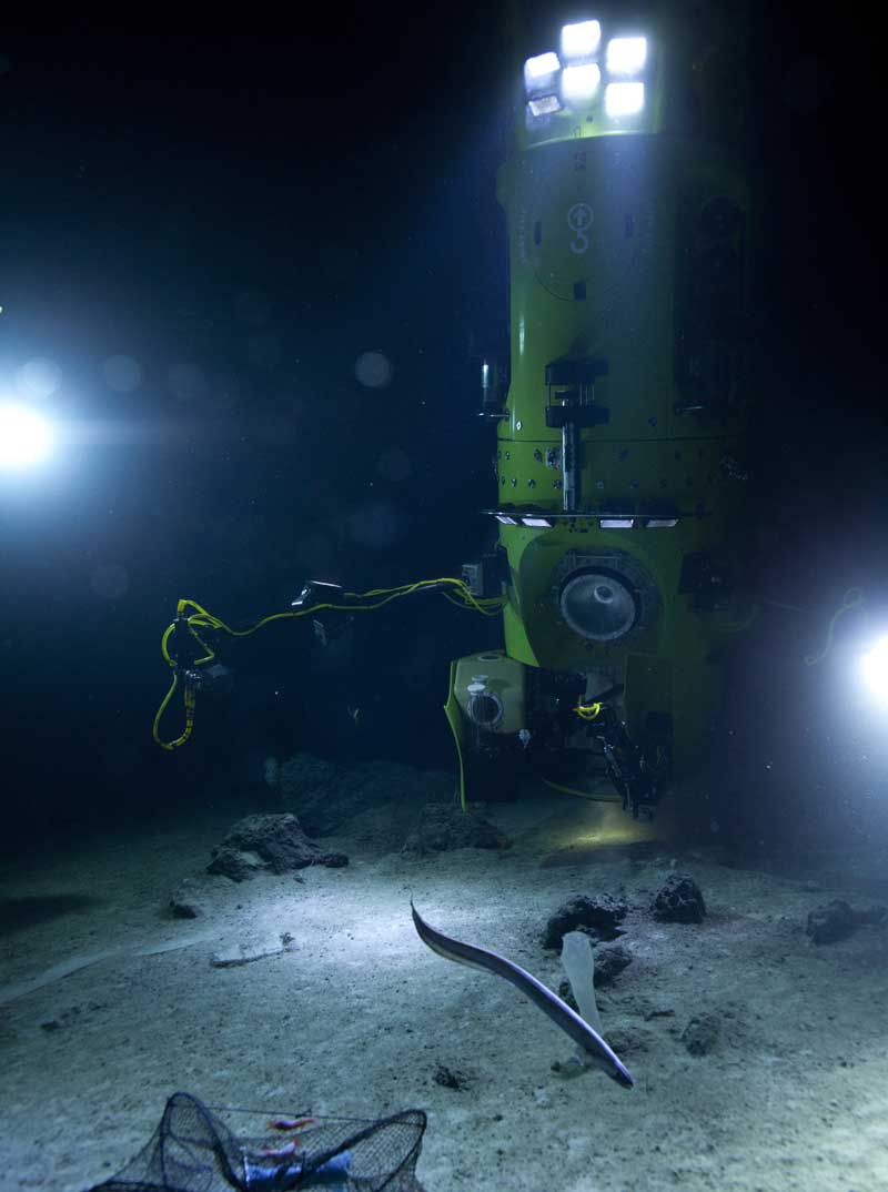 제임스 카메론의 잠수정과 타이탄 잠수정 비교