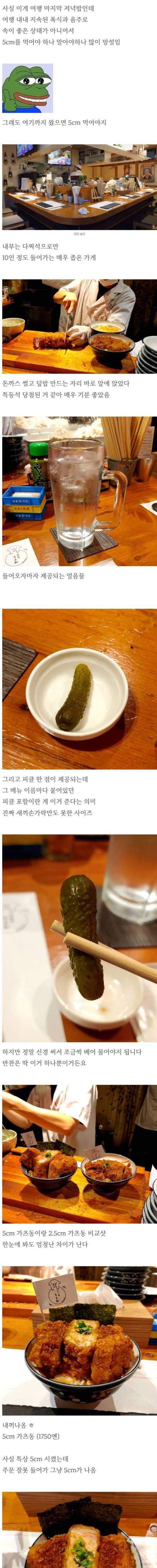 유튜브 나오던 5cm 돈까스 덮밥 후기.jpg