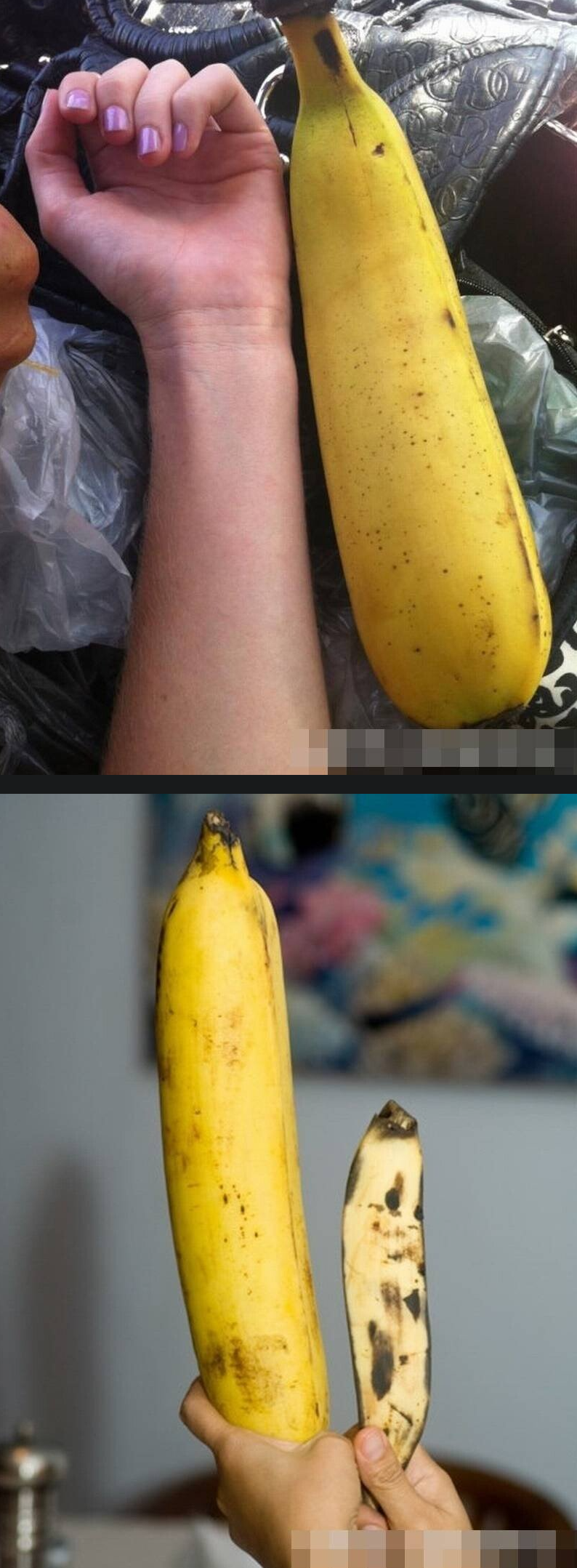 동남아 바나나 크기