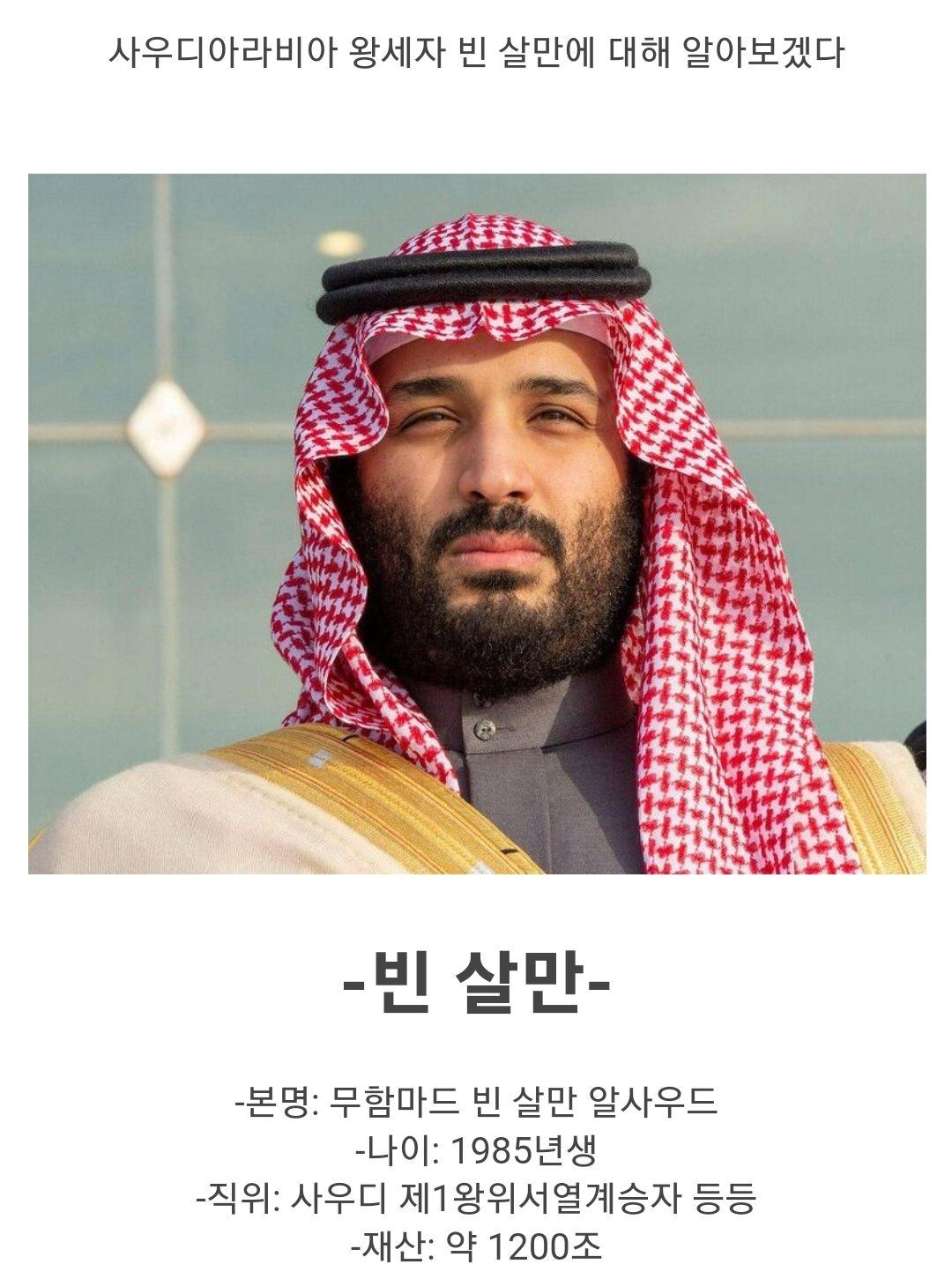 빈살만 사우디 왕세자의 재산ㄷㄷㄷ.jpg