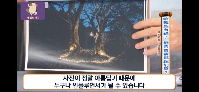코로나때 더 발전 시켜놨다며 한국 관광업 극찬하는 대만프로