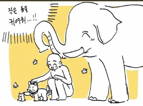 코끼리가 인간을 좋아하는 이유