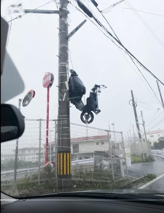 오키나와 태풍 근황...jpg
