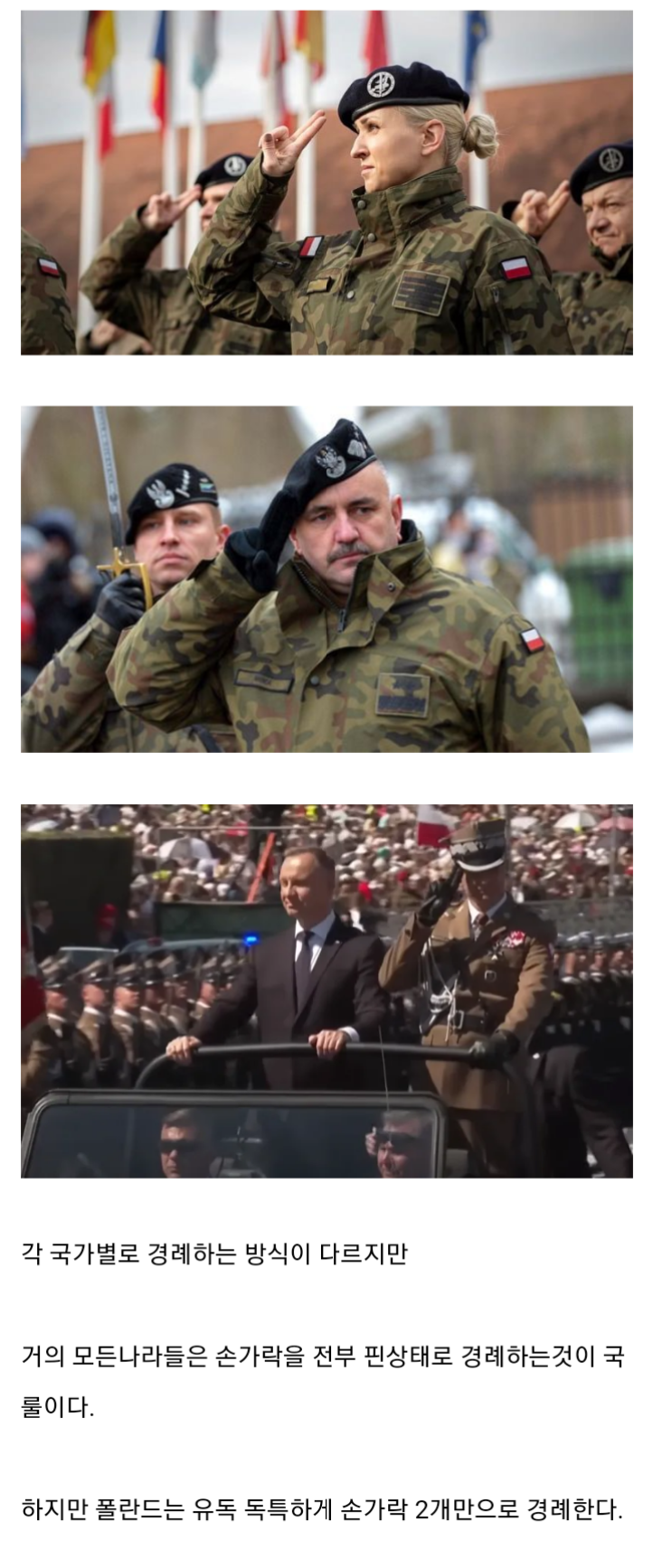 폴란드 군인이 두손가락 경례 하는 이유