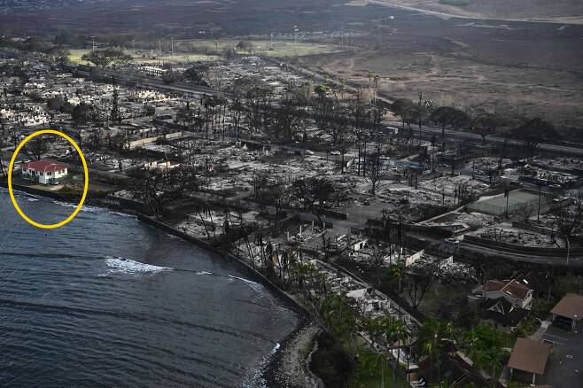 하와이 화재에서 살아남은 집