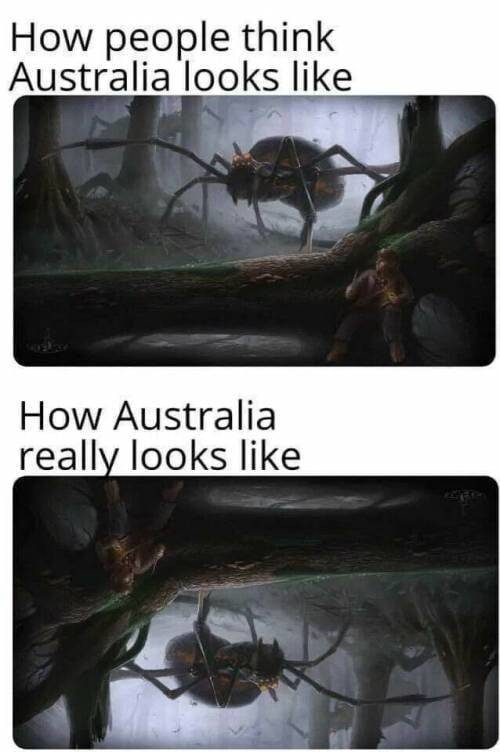 사람들이 생각하는 호주와 실제 호주의 차이.jpg