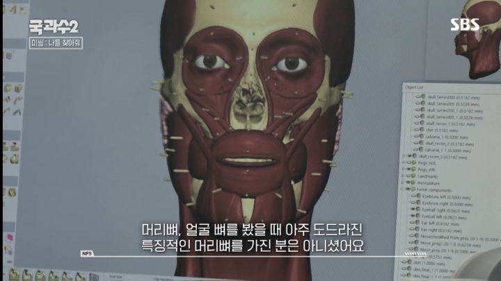 얼굴뼈만 가지고 얼굴을 복원할수있을까?
