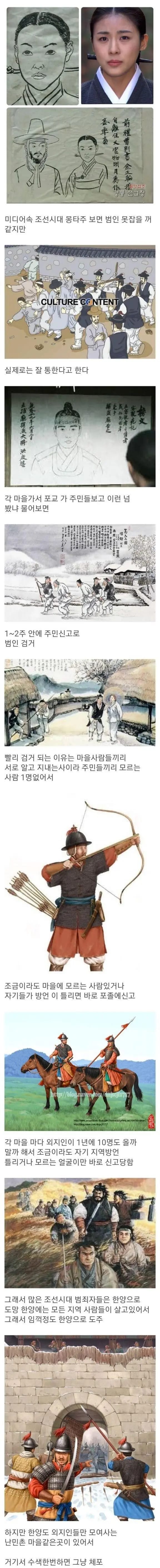조선시대 범인 검거율이 높은이유